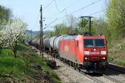 185 186 in Gingen