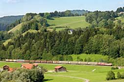 217 002 und 217 012 bei Unterthalhofen