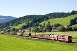 225 011 und 225 073 bei Oberstaufen