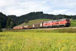 225 073 und 225 032 bei Oberstaufen