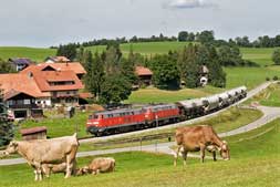 225 079 und 225 805 bei Haslach