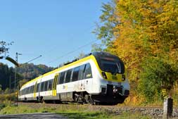 442 212 bei Epfendorf