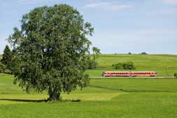 628 239 bei Haslach