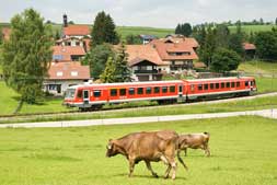 628 242 in Haslach