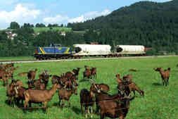 213 338 bei Pfronten-Ried