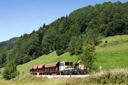 Schwerkleinwagen bei Ratholz