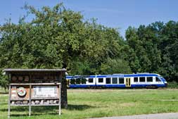 648 217 und 648 230 in Holzgerlingen