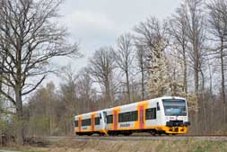 Regioshuttles bei Holzgerlingen