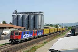 SBB 421 390 und BR 421 in Malsch