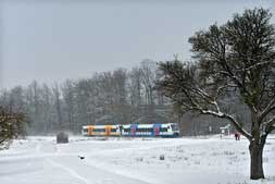 Regioshuttles bei Holzgerlingen